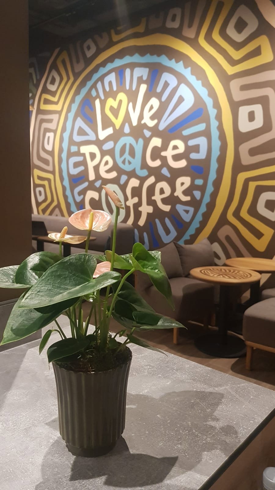Tucano Coffee İstanbul