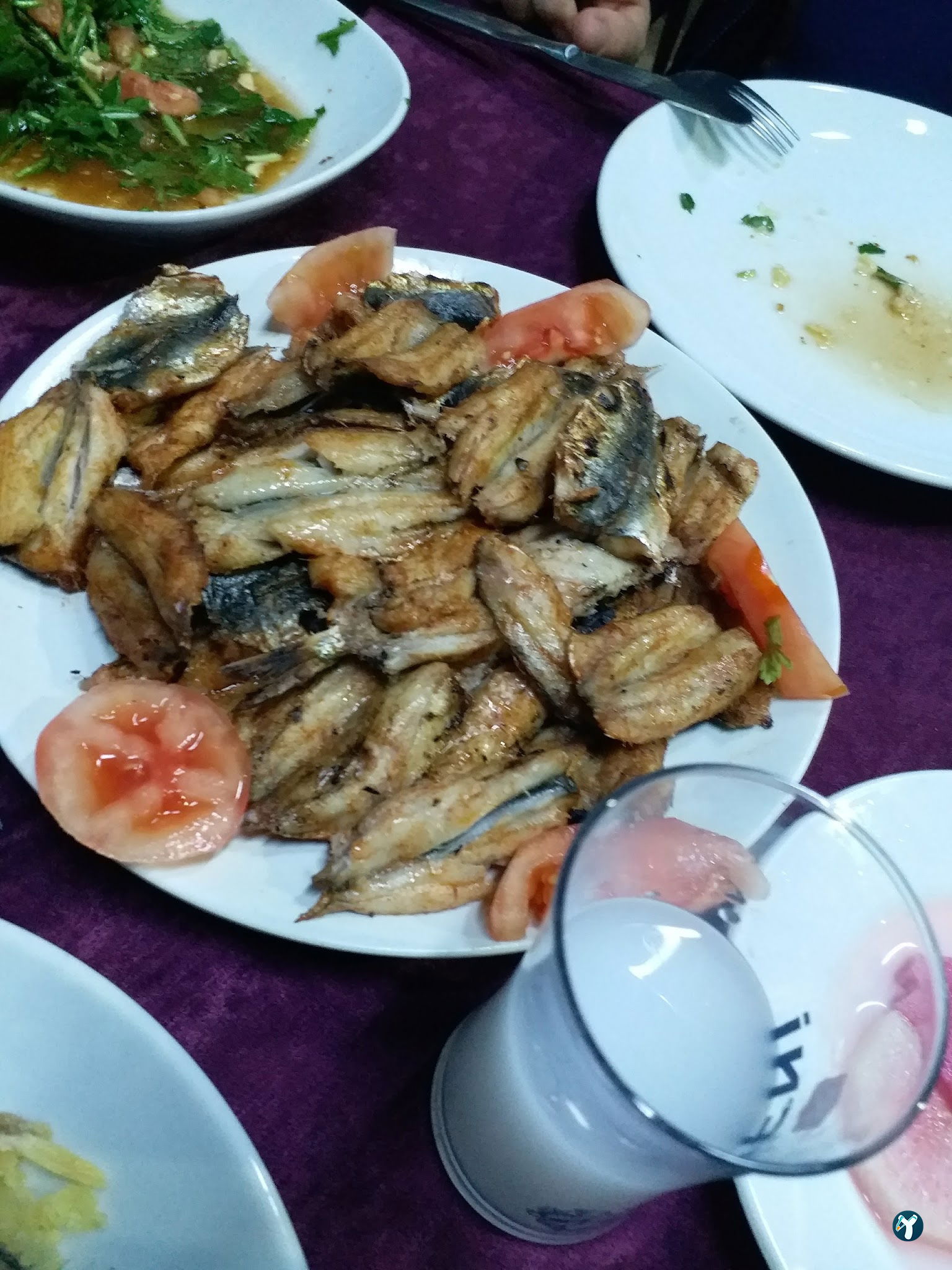 Balıkçı Yaşar