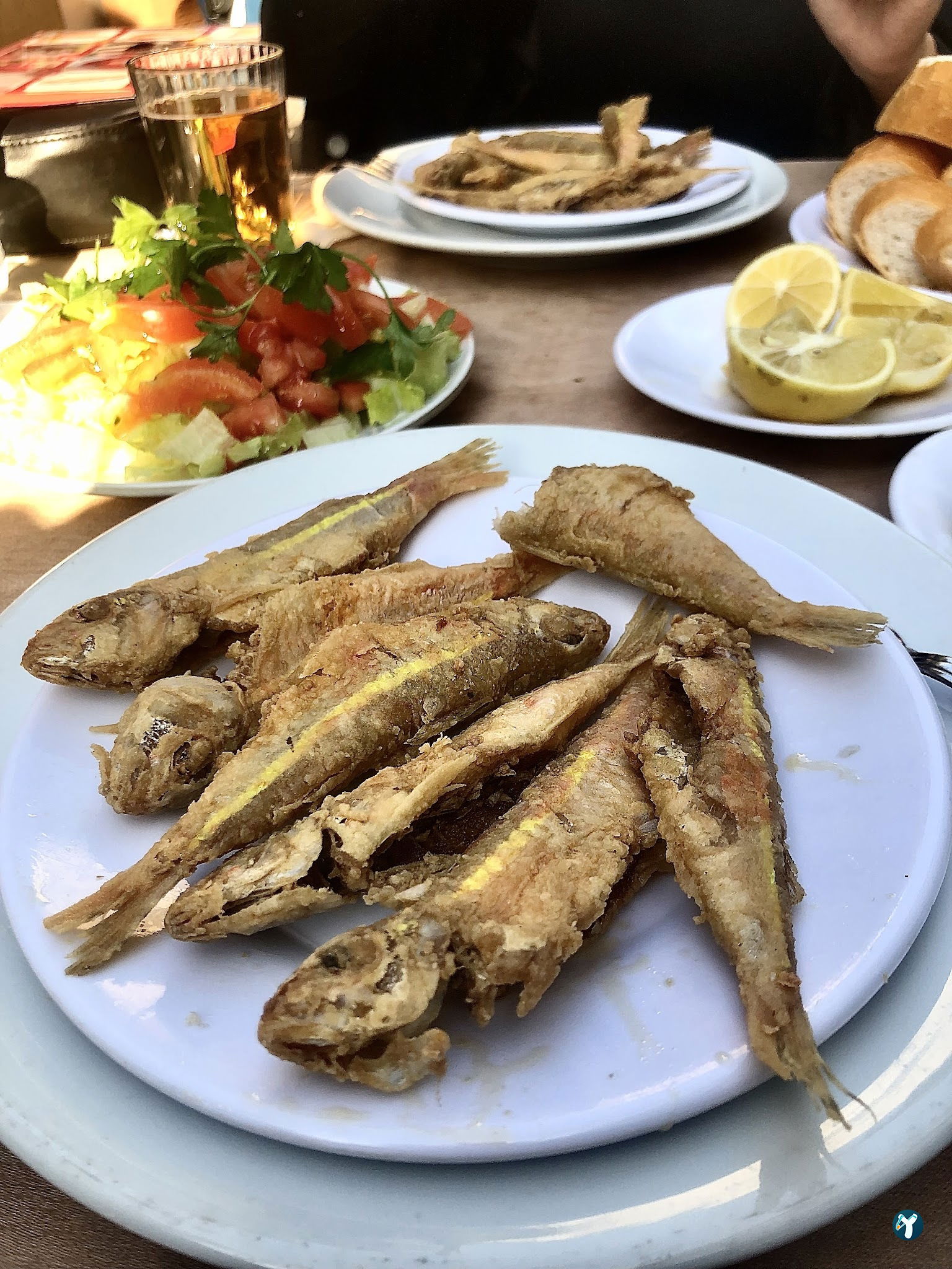 Balıkçı Yaşar