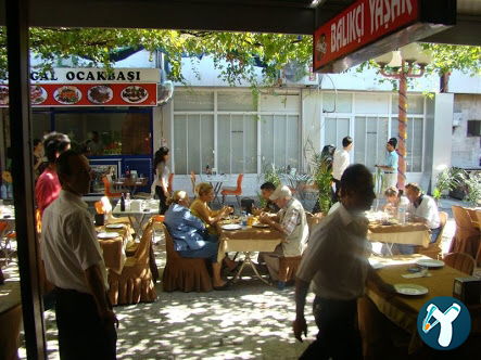 Balıkçı Yaşar