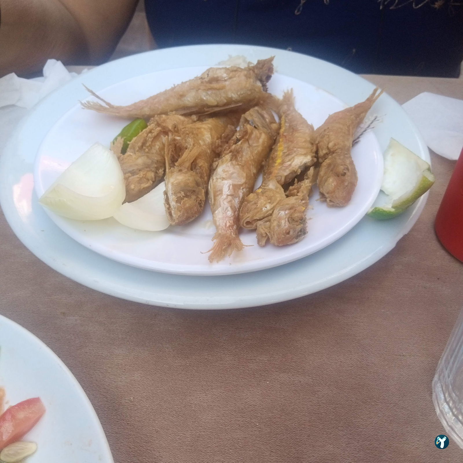 Balıkçı Yaşar