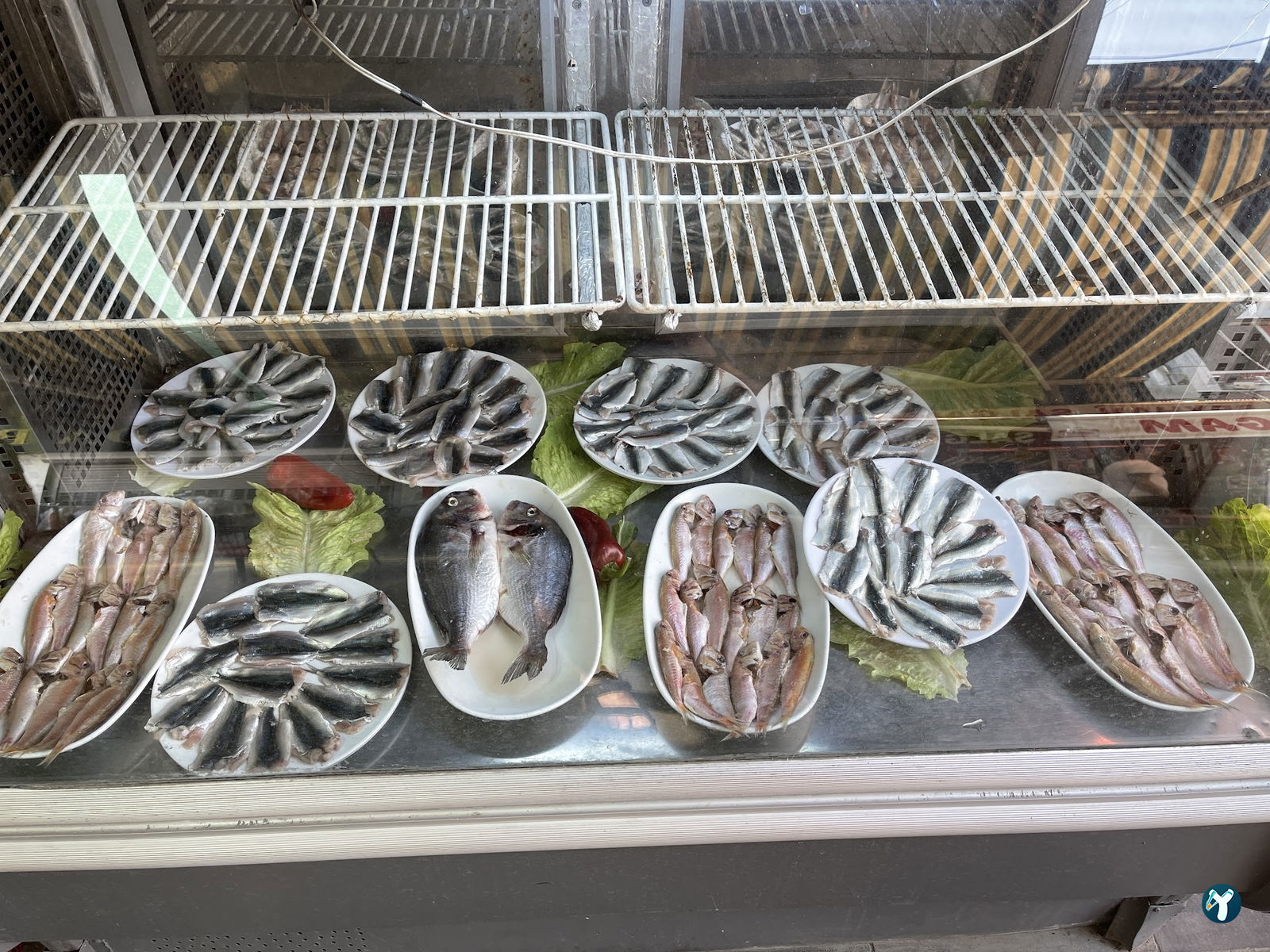 Balıkçı Yaşar