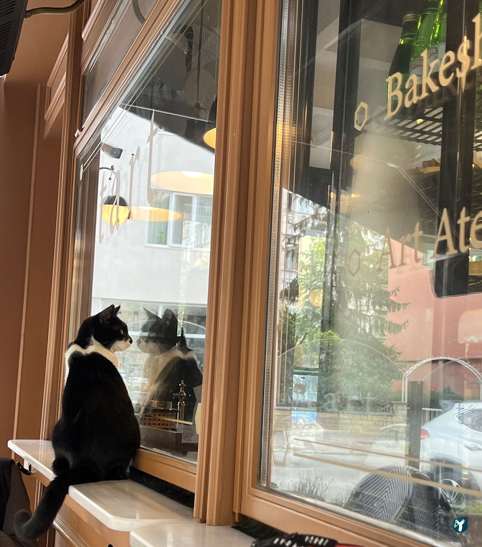 Tart Bakery Cafe