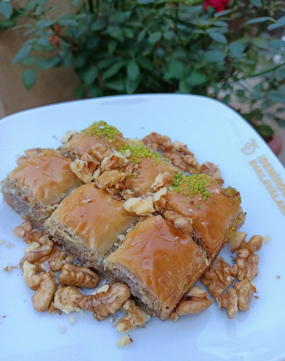 Cevizli Prens Baklava (500 gr.)
