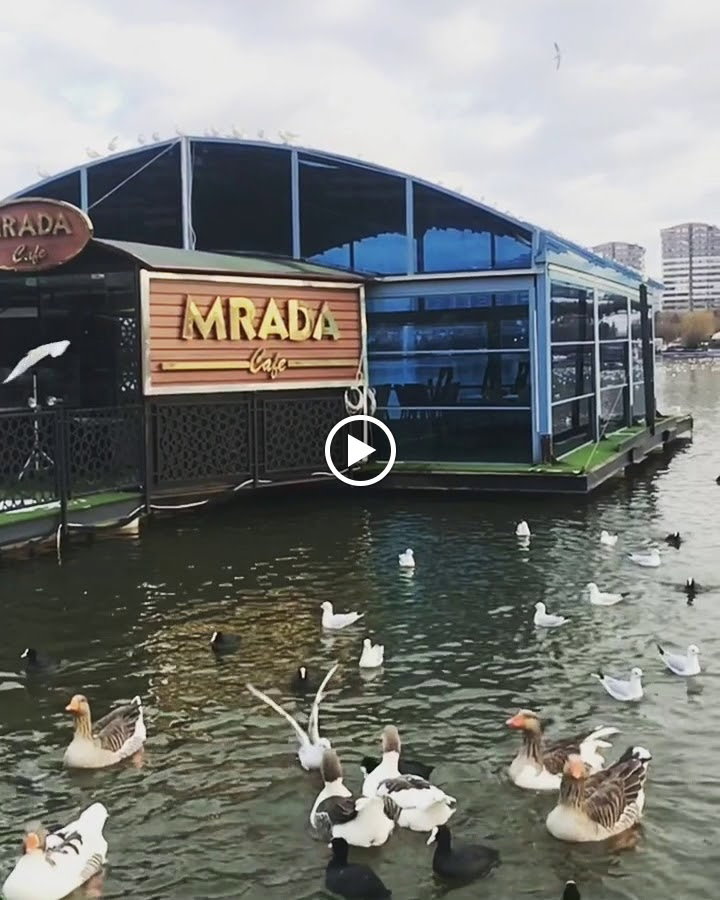 Mrada Cafe
