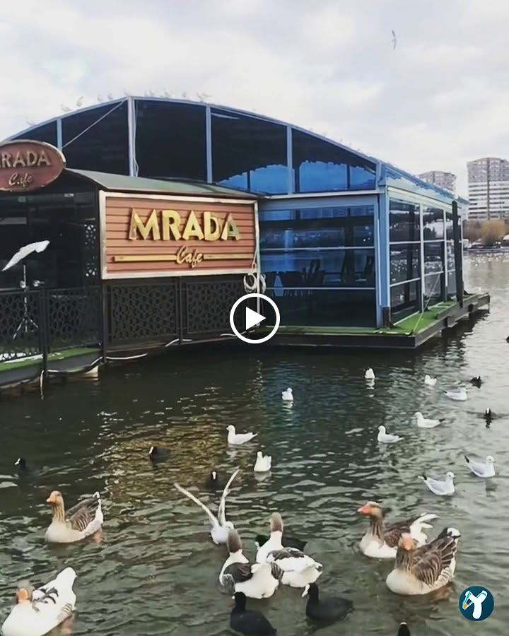 Mrada Cafe
