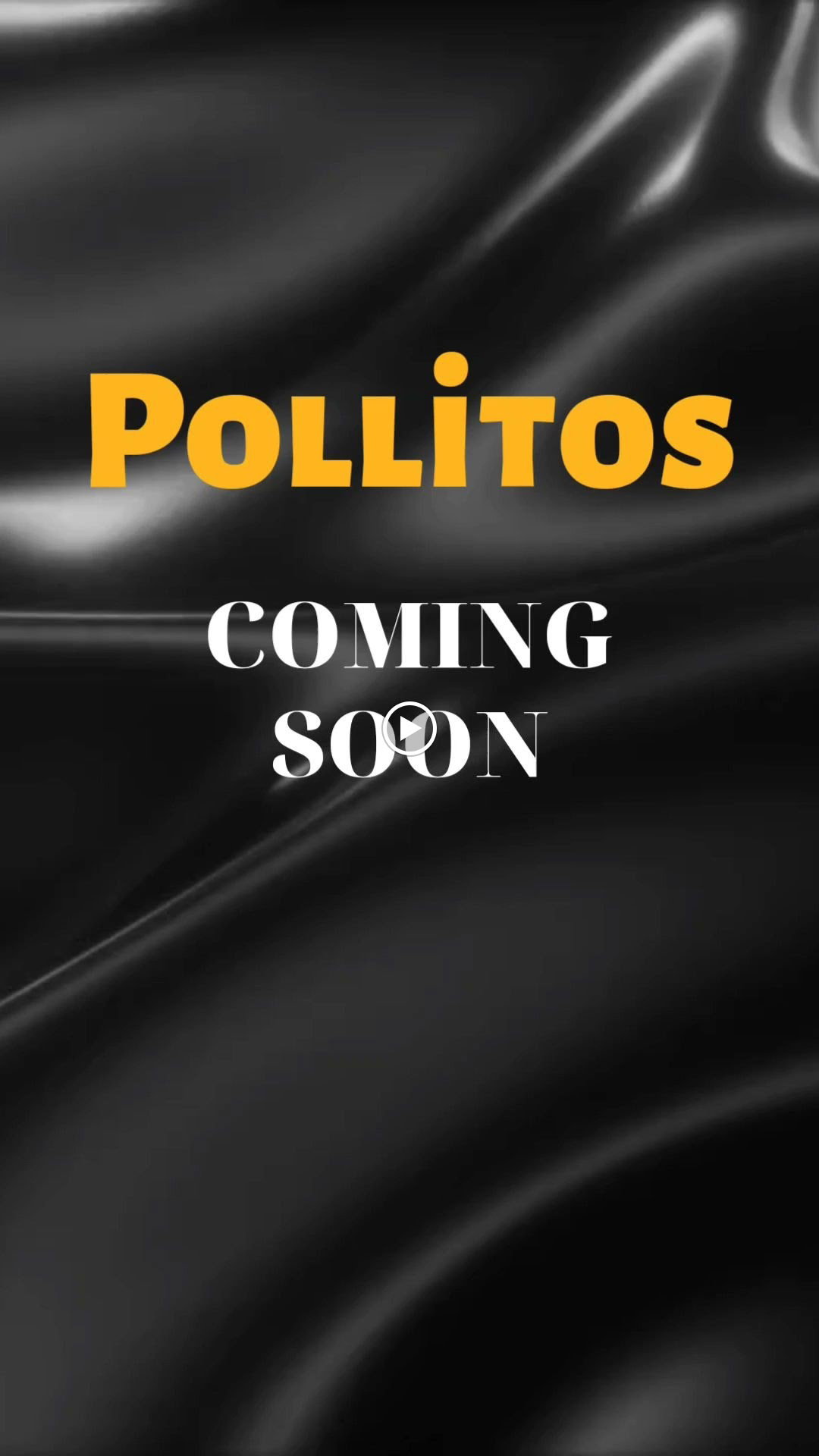 Pollito Chicken Burger