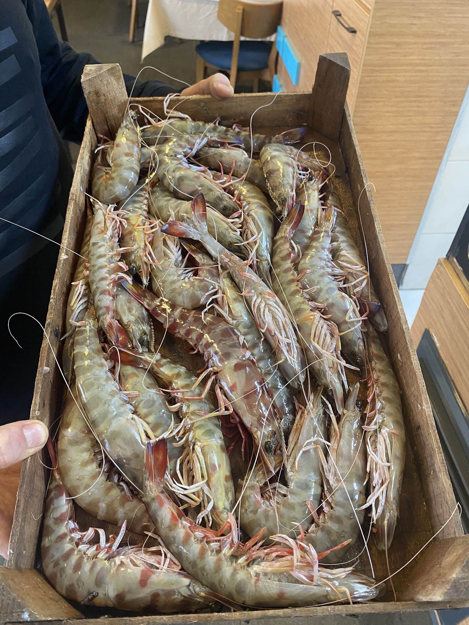 Sardin Balık Restaurant