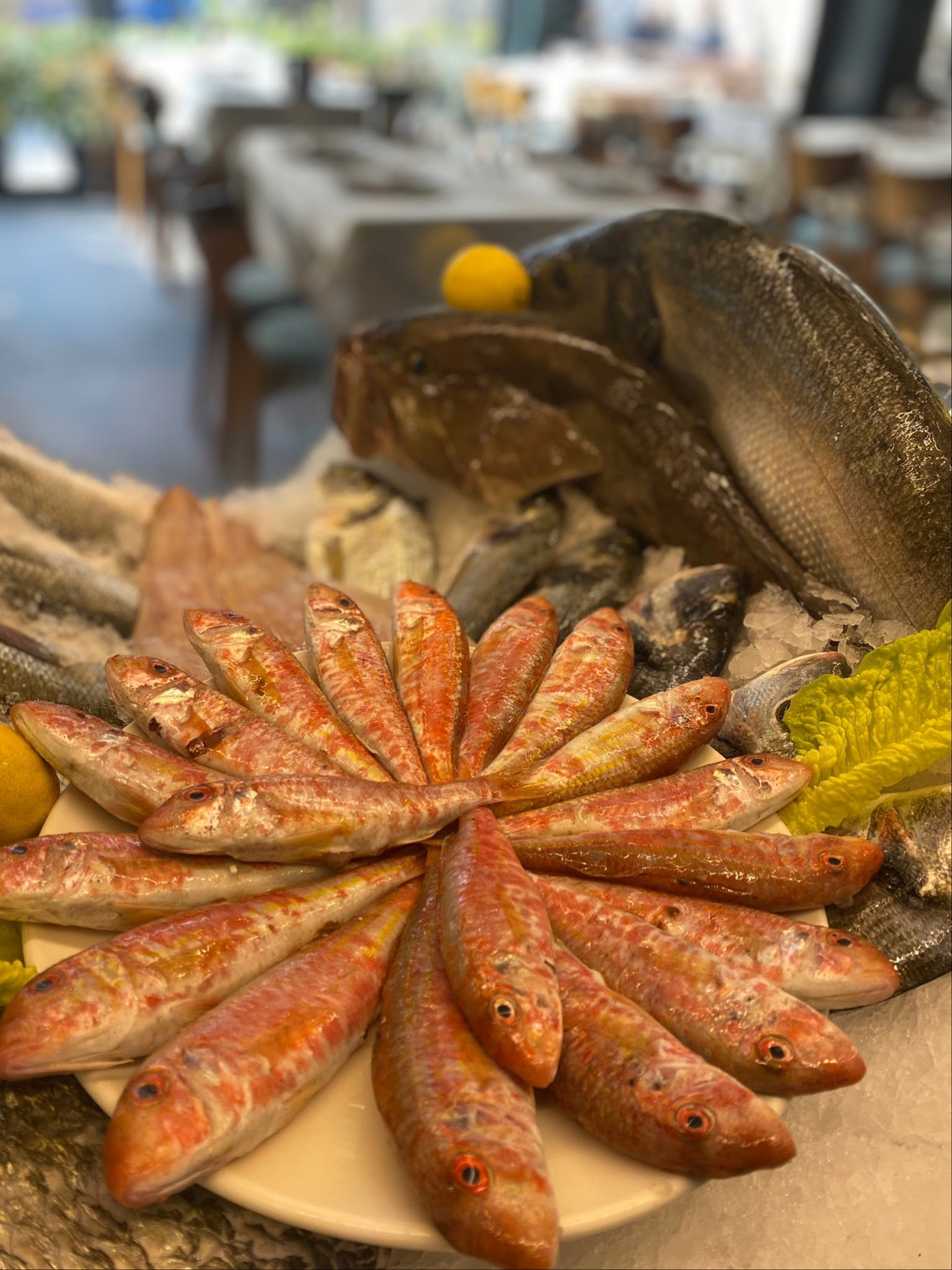 Sardin Balık Restaurant