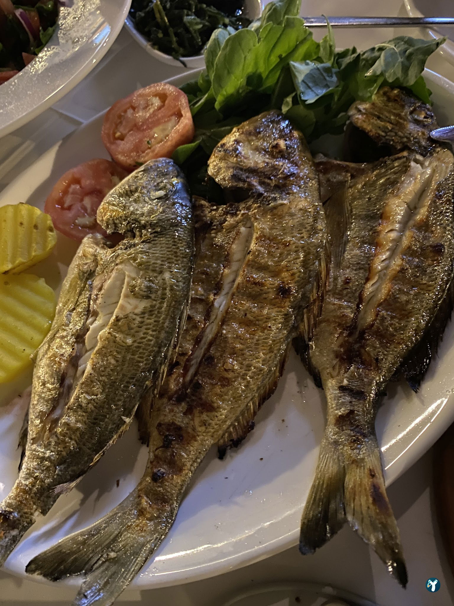 Sardin Balık Restaurant