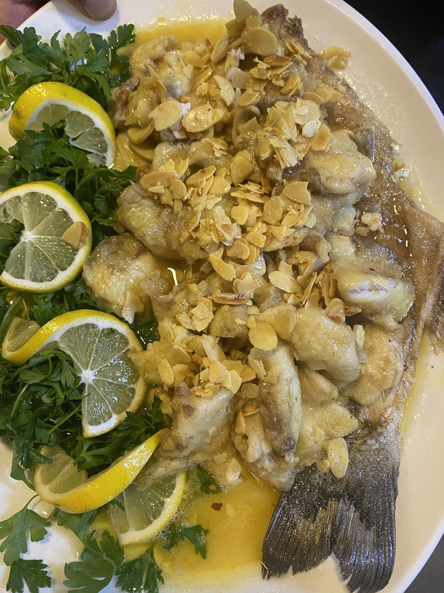 Sardin Balık Restaurant