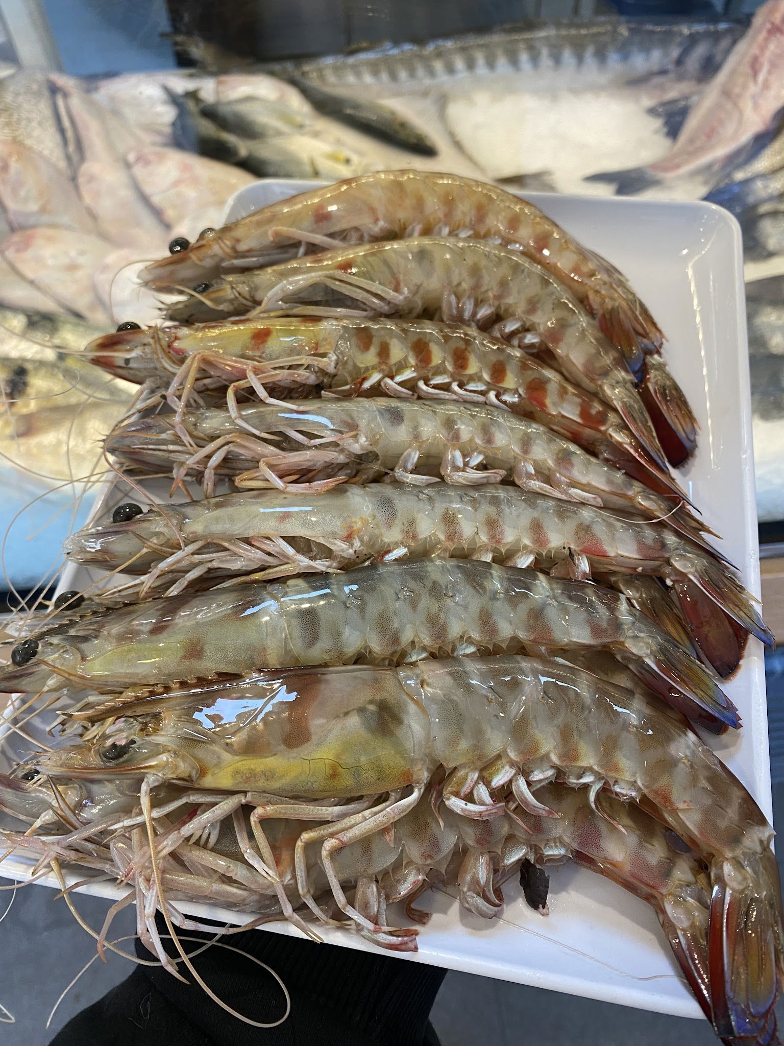 Sardin Balık Restaurant