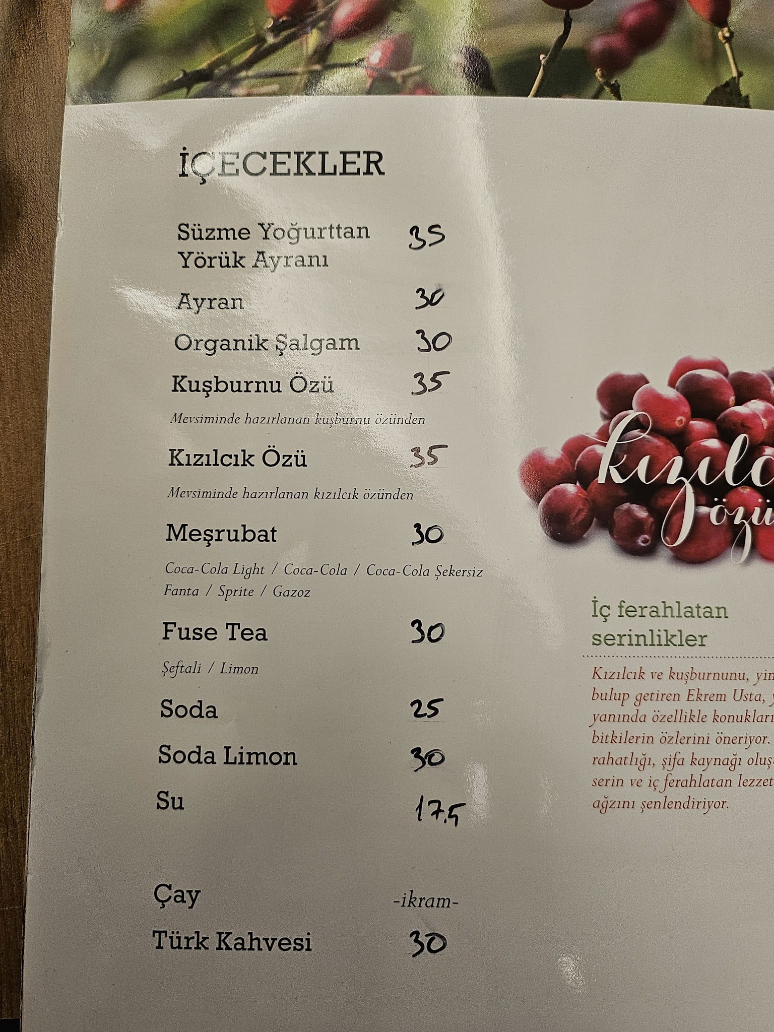 Ekrem Usta-Etin Ustası- Çayyolu Restaurant