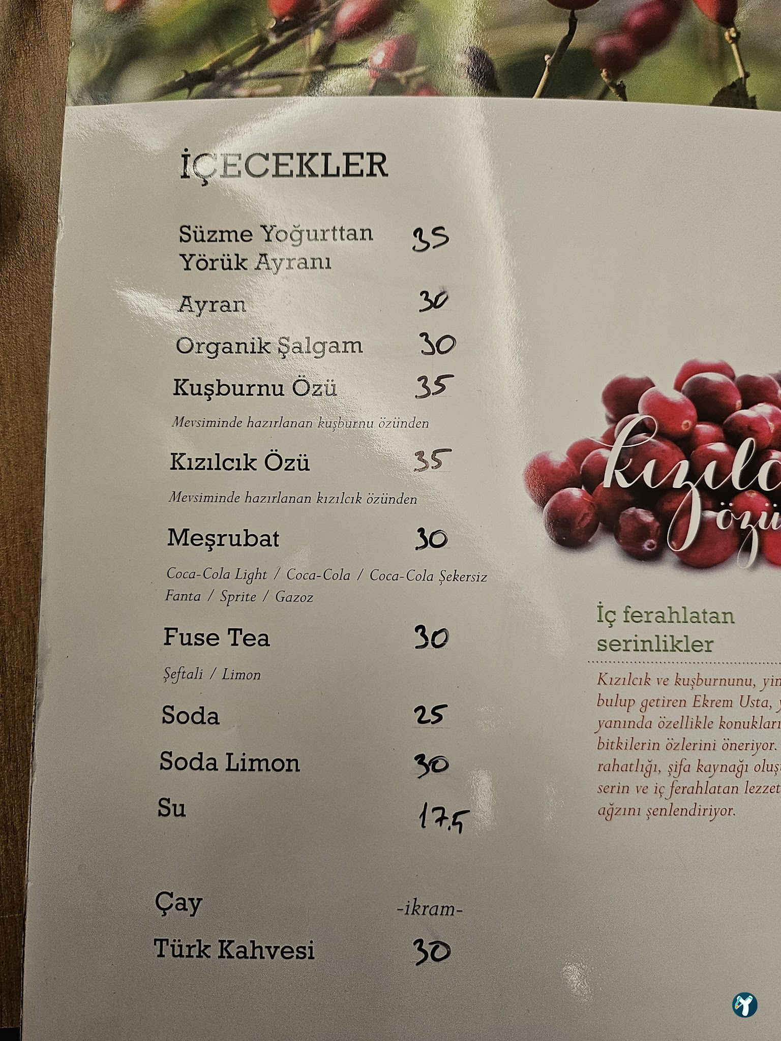 Ekrem Usta-Etin Ustası- Çayyolu Restaurant