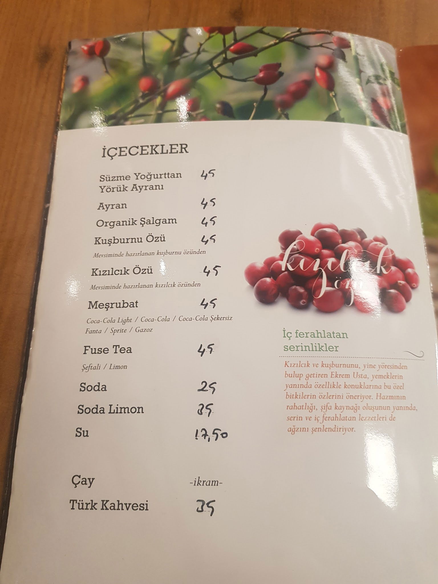 Ekrem Usta-Etin Ustası- Çayyolu Restaurant