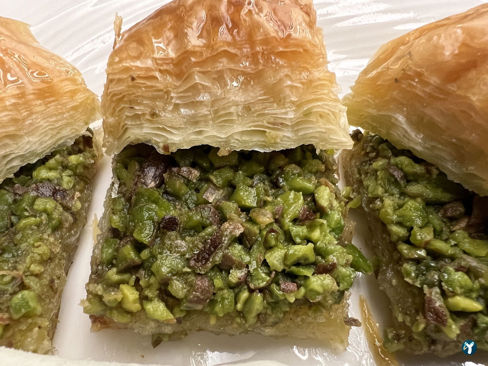 Ekrem Usta-Etin Ustası- Çayyolu Restaurant