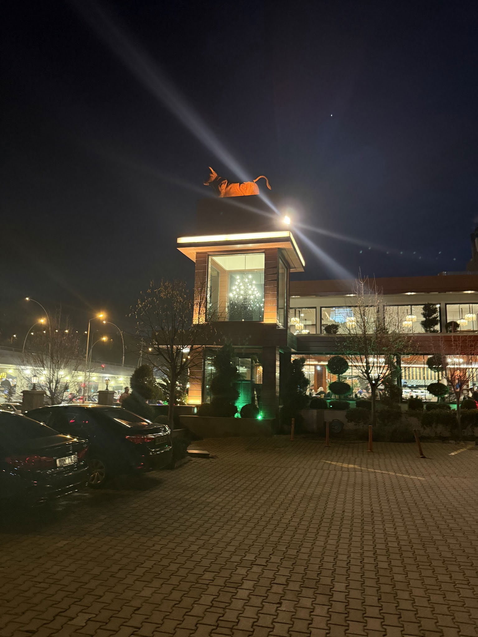 Ekrem Usta-Etin Ustası- Çayyolu Restaurant