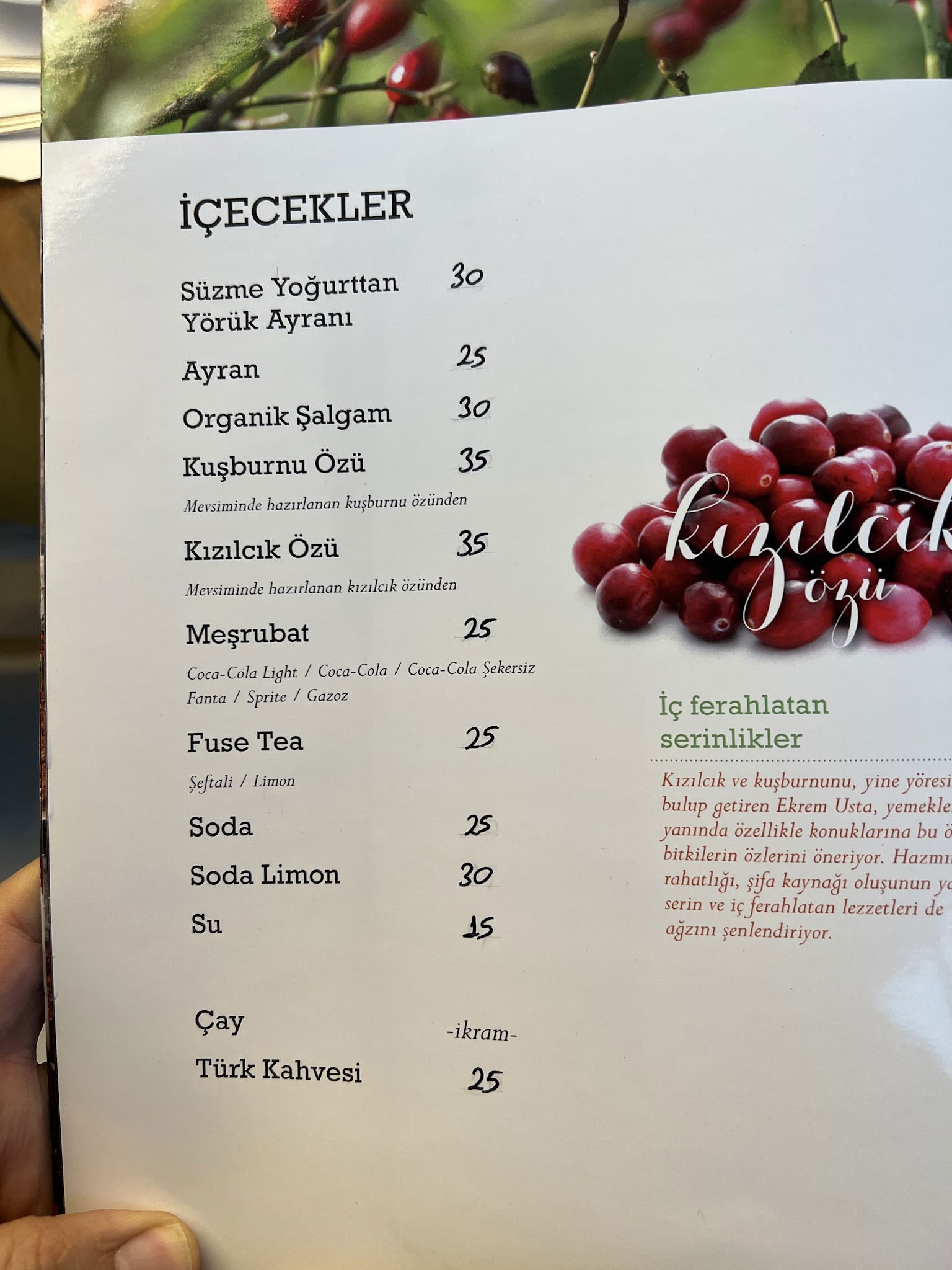 Ekrem Usta-Etin Ustası- Çayyolu Restaurant