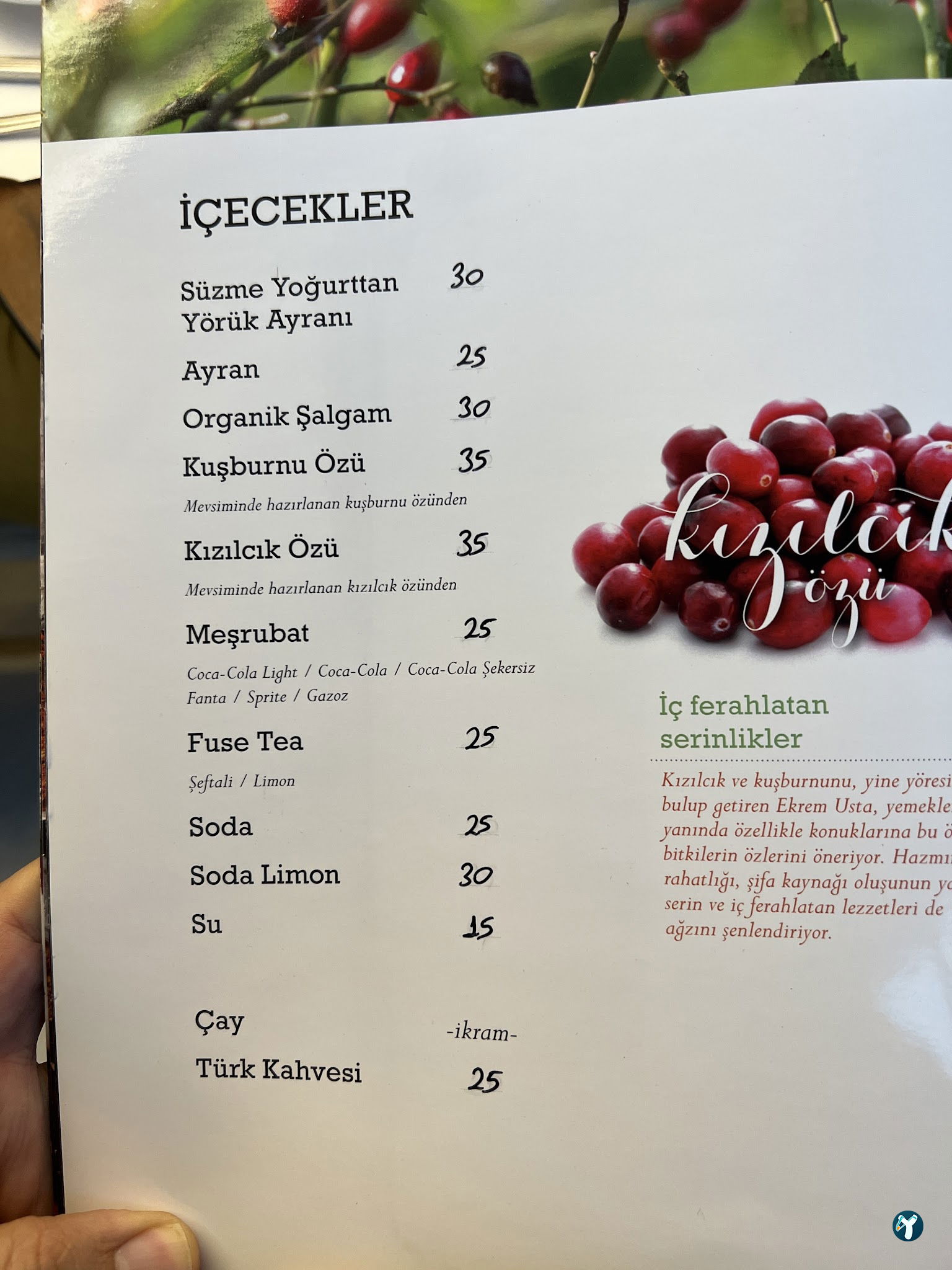 Ekrem Usta-Etin Ustası- Çayyolu Restaurant