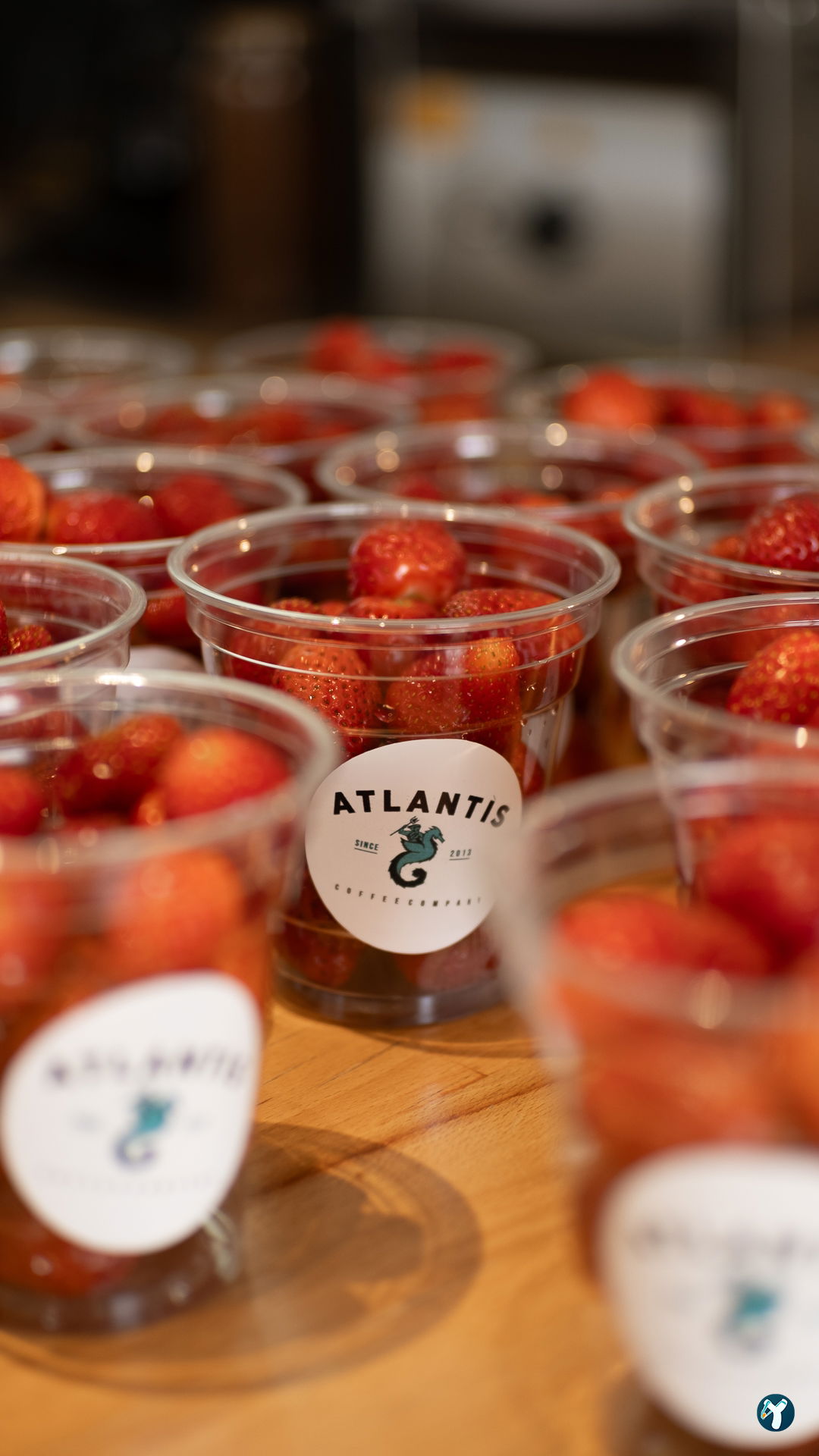 Atlantis Coffee Company