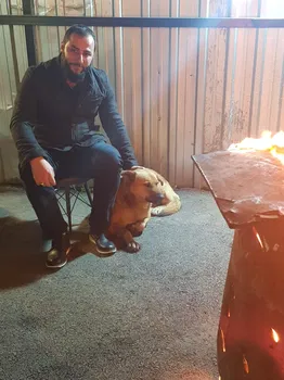 Gırgırr Cafe resimleri