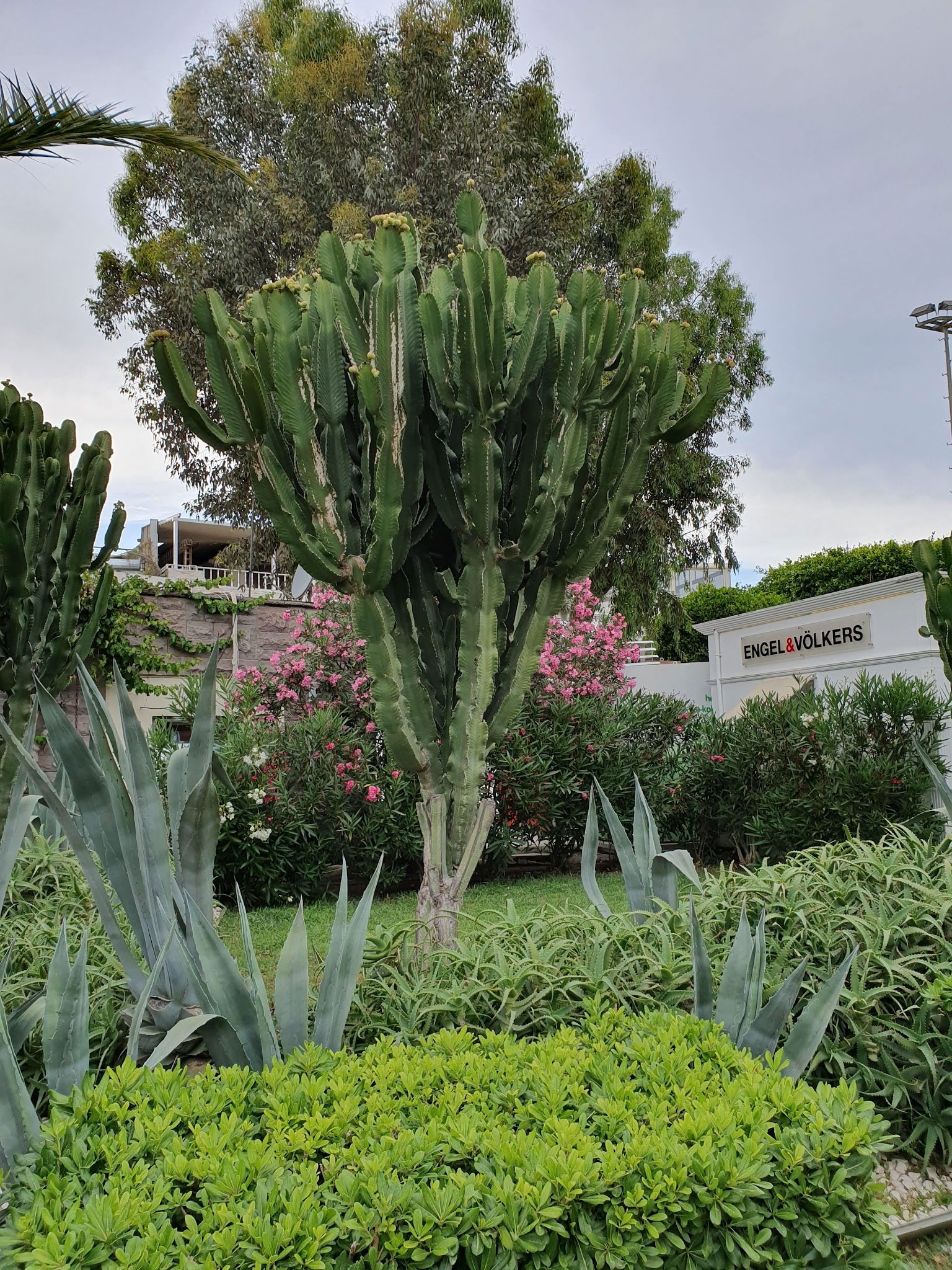 Sünger Pizza Restaurant