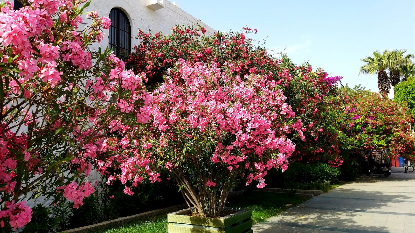 Sünger Pizza Restaurant