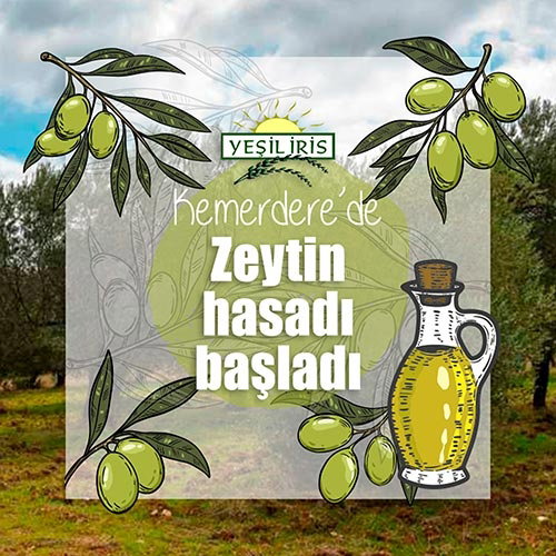Tekser İnşaat Gıda Sanayi Ve Ticaret Ltd. Şti.