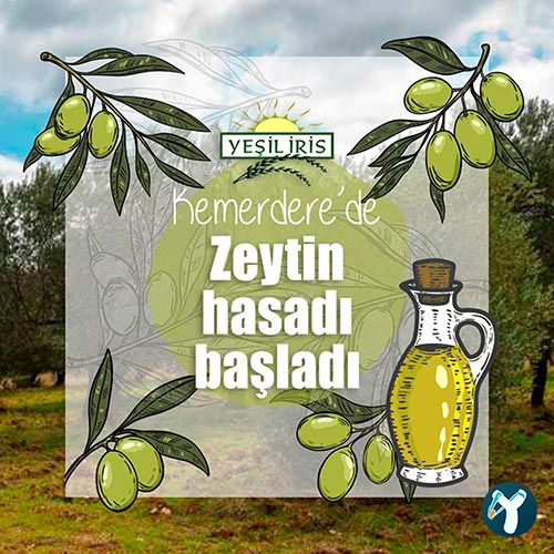 Tekser İnşaat Gıda Sanayi Ve Ticaret Ltd. Şti.