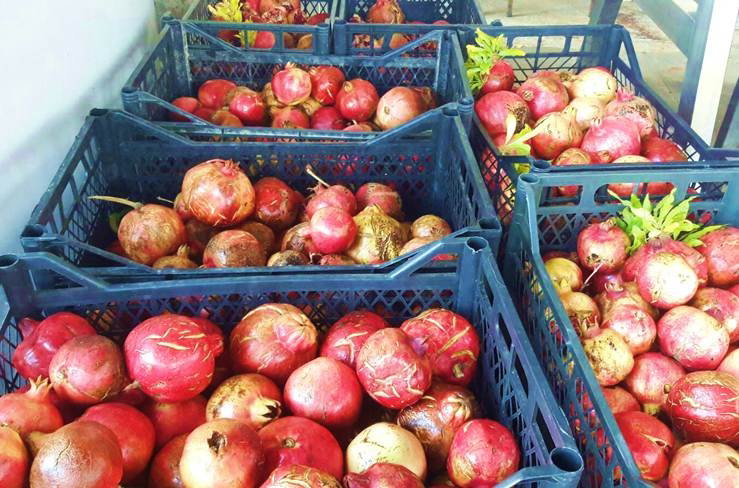Tekser İnşaat Gıda Sanayi Ve Ticaret Ltd. Şti.