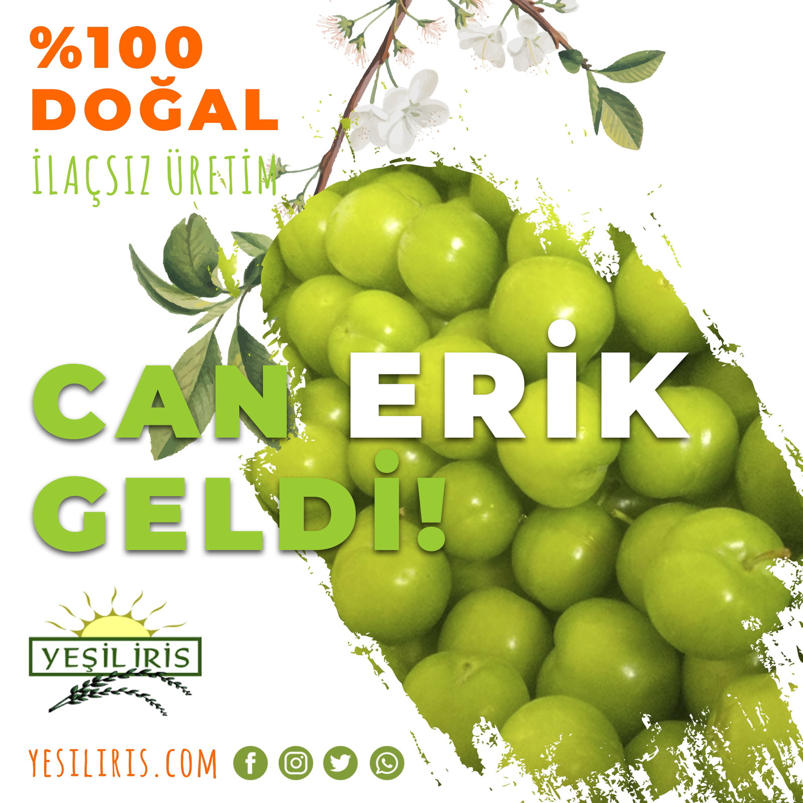Tekser İnşaat Gıda Sanayi Ve Ticaret Ltd. Şti.