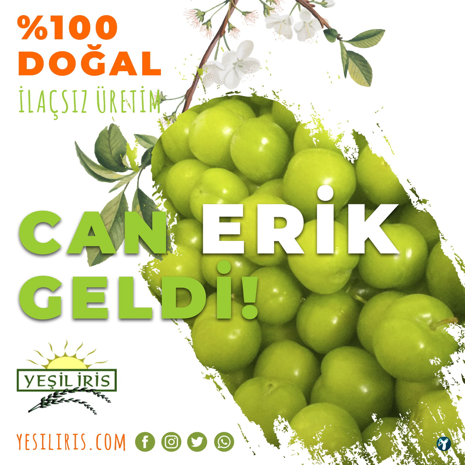 Tekser İnşaat Gıda Sanayi Ve Ticaret Ltd. Şti.