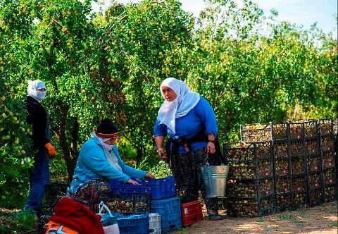 Tekser İnşaat Gıda Sanayi Ve Ticaret Ltd. Şti.