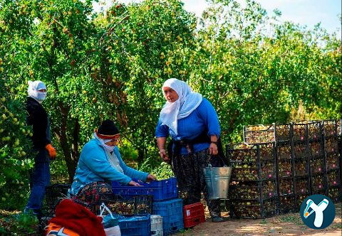 Tekser İnşaat Gıda Sanayi Ve Ticaret Ltd. Şti.