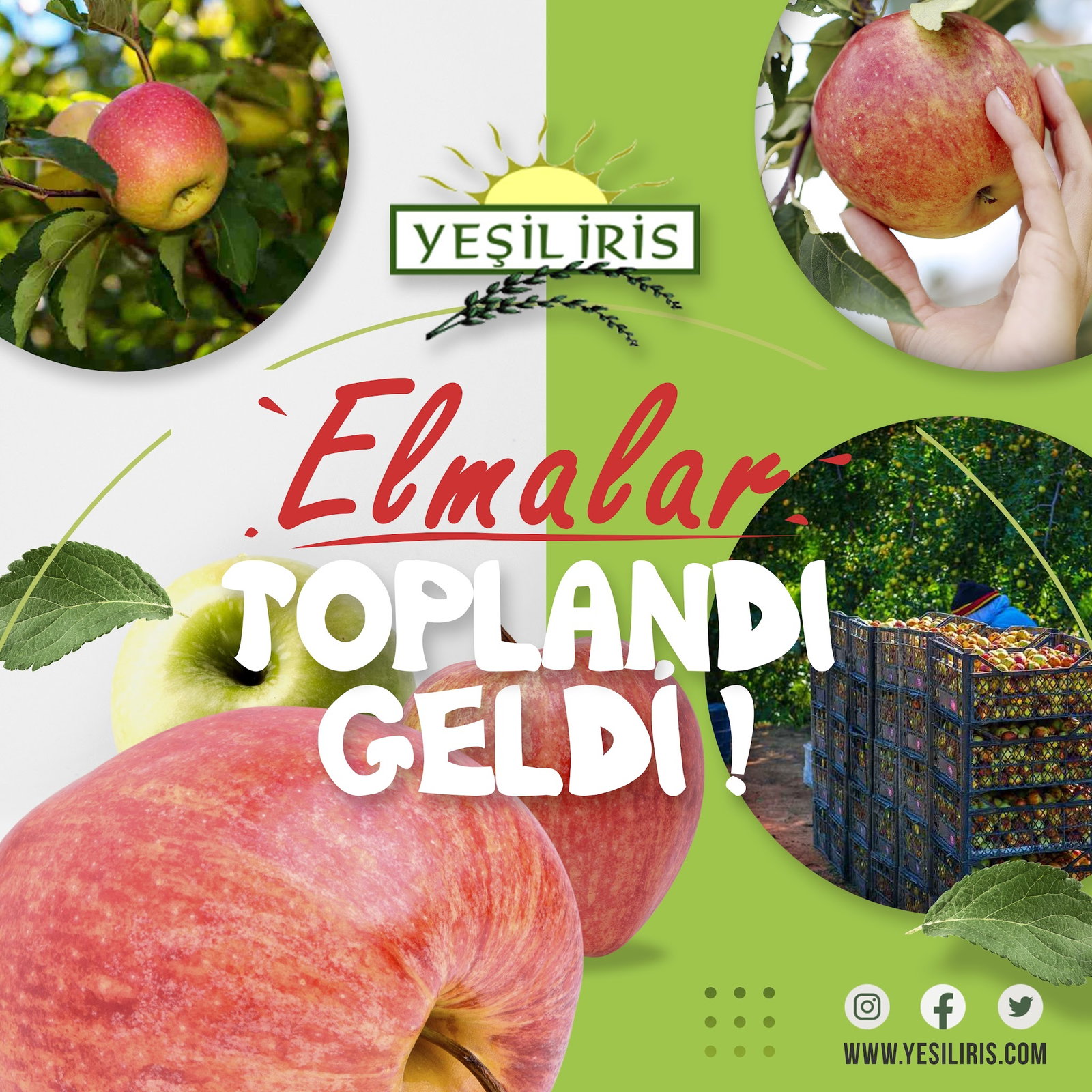 Tekser İnşaat Gıda Sanayi Ve Ticaret Ltd. Şti.