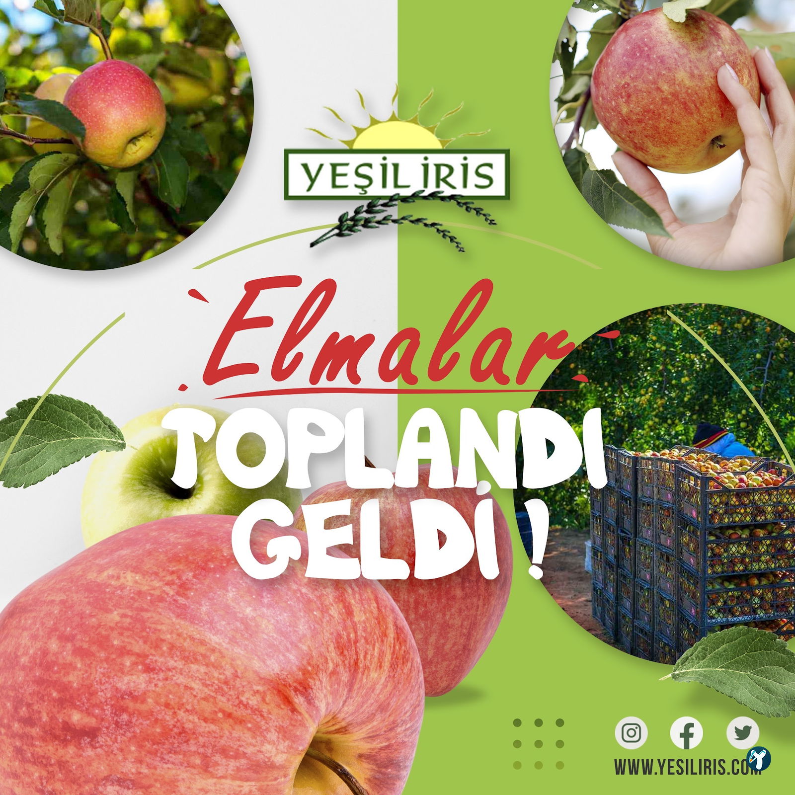 Tekser İnşaat Gıda Sanayi Ve Ticaret Ltd. Şti.