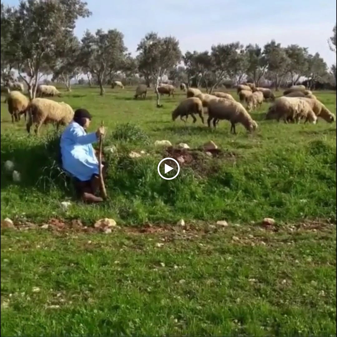 Tekser İnşaat Gıda Sanayi Ve Ticaret Ltd. Şti.