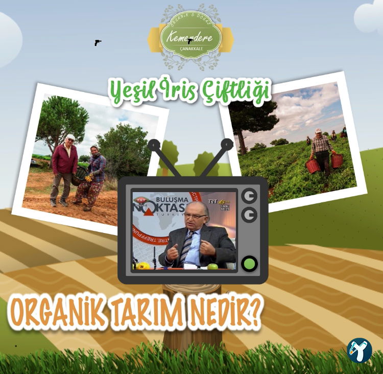 Tekser İnşaat Gıda Sanayi Ve Ticaret Ltd. Şti.