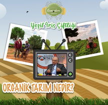 Tekser İnşaat Gıda Sanayi Ve Ticaret Ltd. Şti.