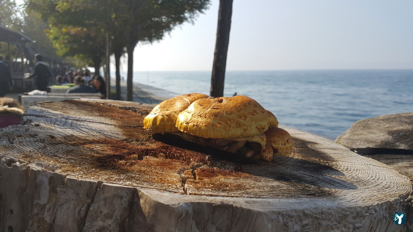 Gönül Bahçesi Cafe & Restaurant