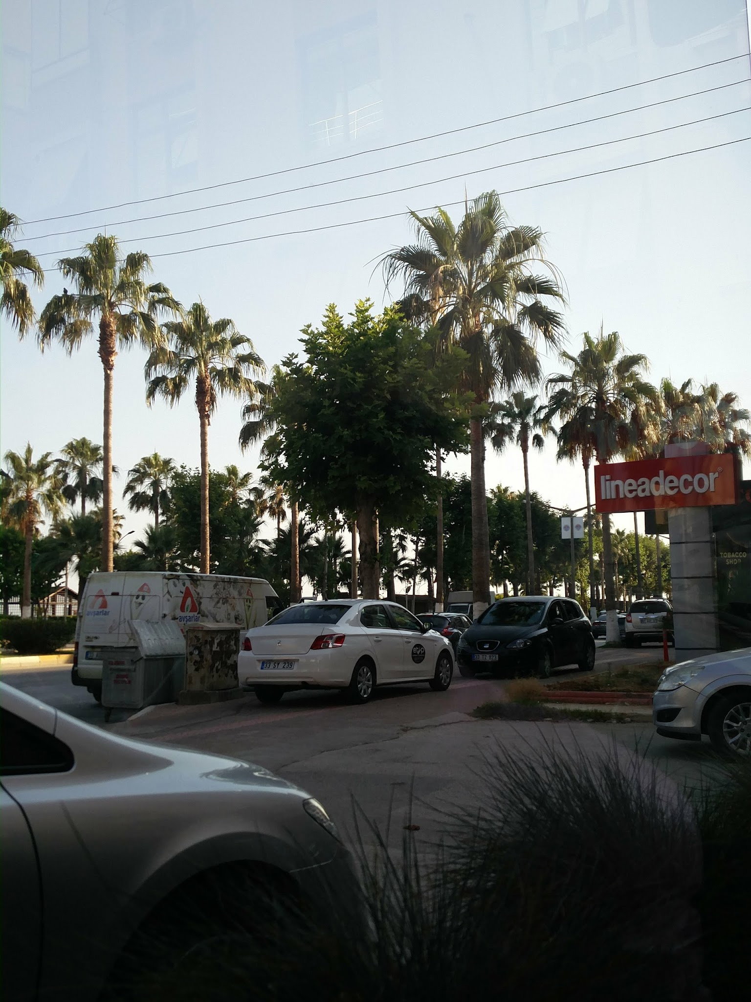 Tiko Mersin