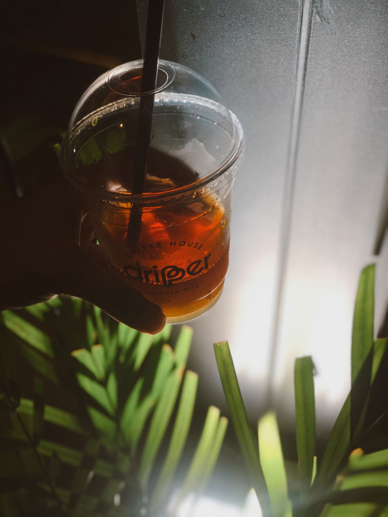 Dripper Coffee House