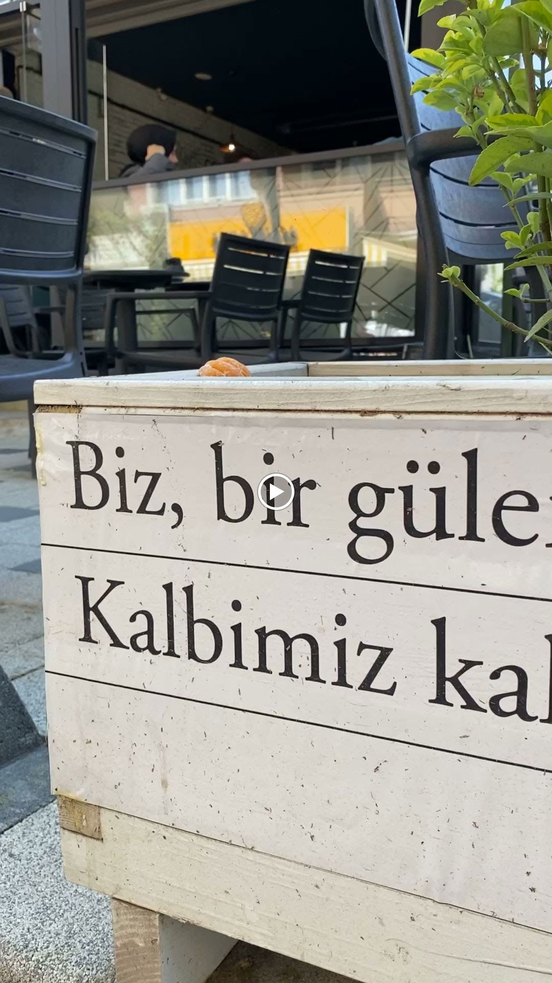 Dripper Coffee House