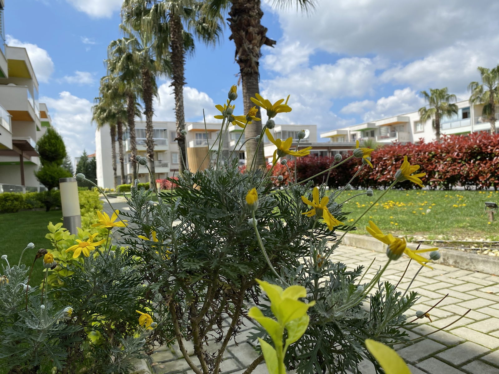 Statu Garden Suıtes