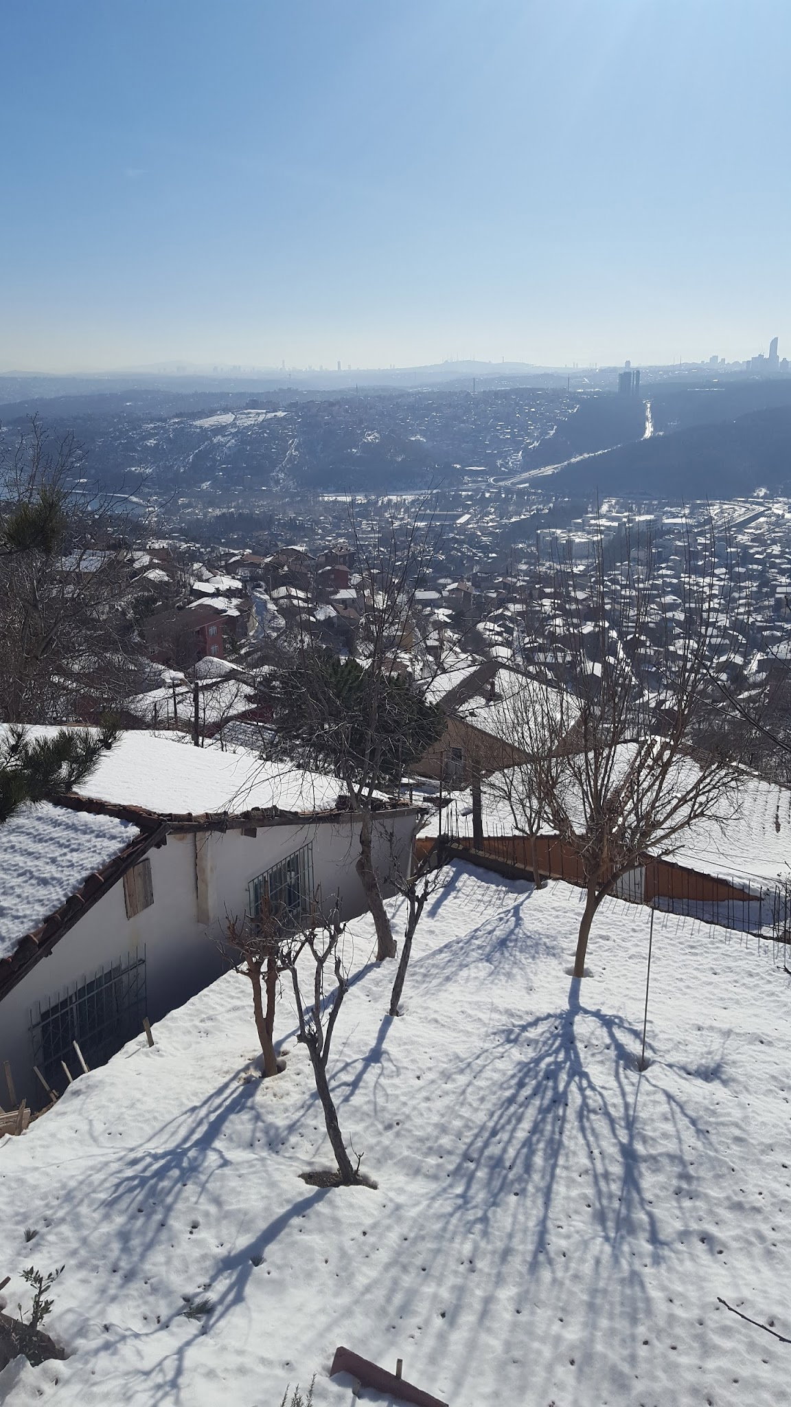 Dikkat Et Ve Şarküteri