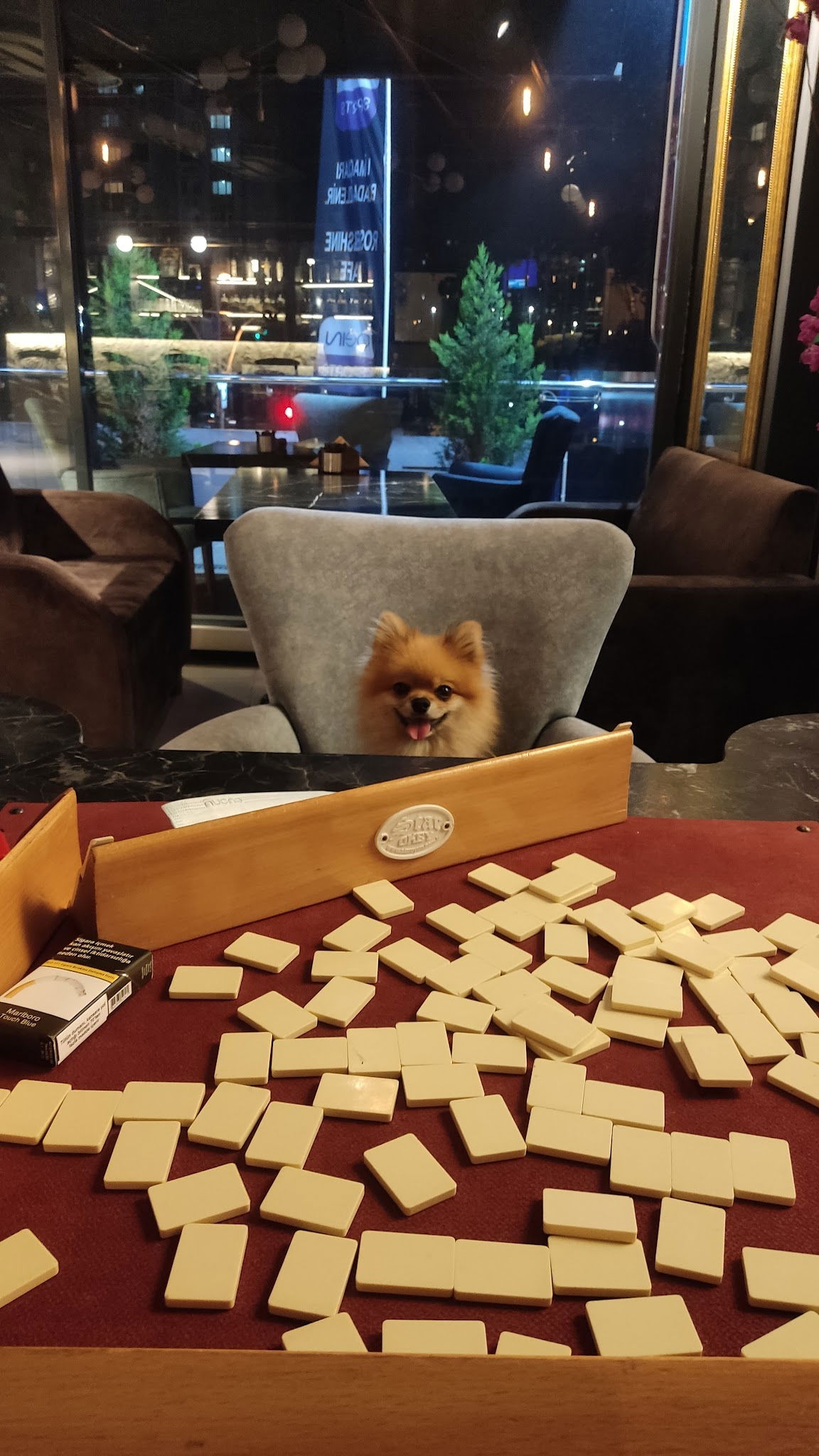 Rose&Shıne Cafe/Restaurant