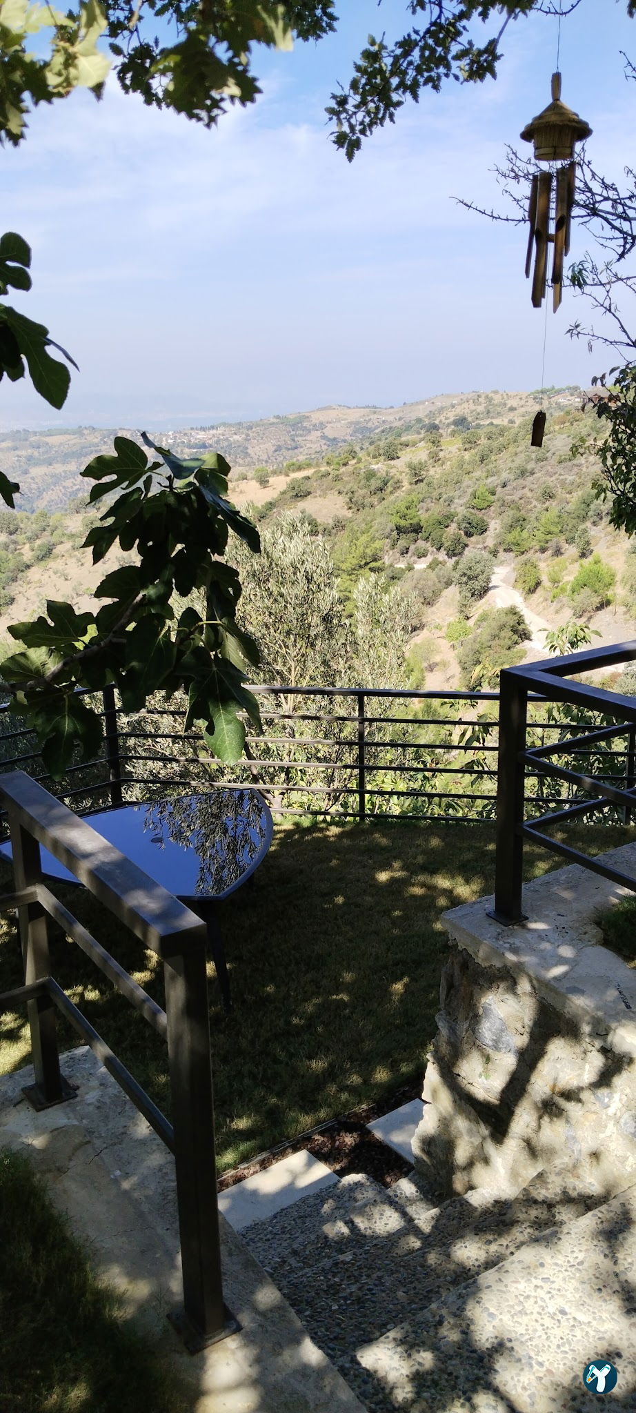 Saye Payamlı