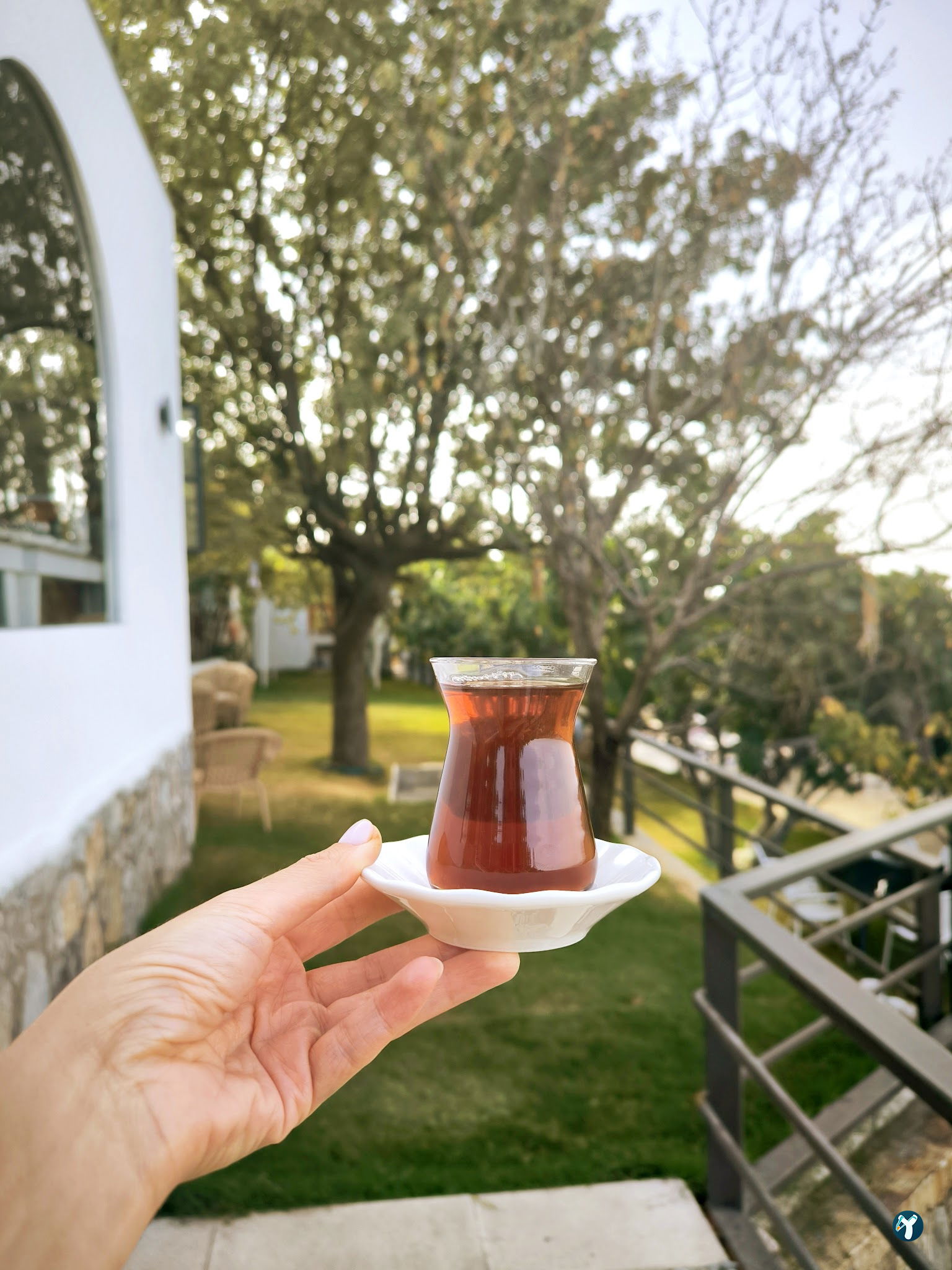 Saye Payamlı