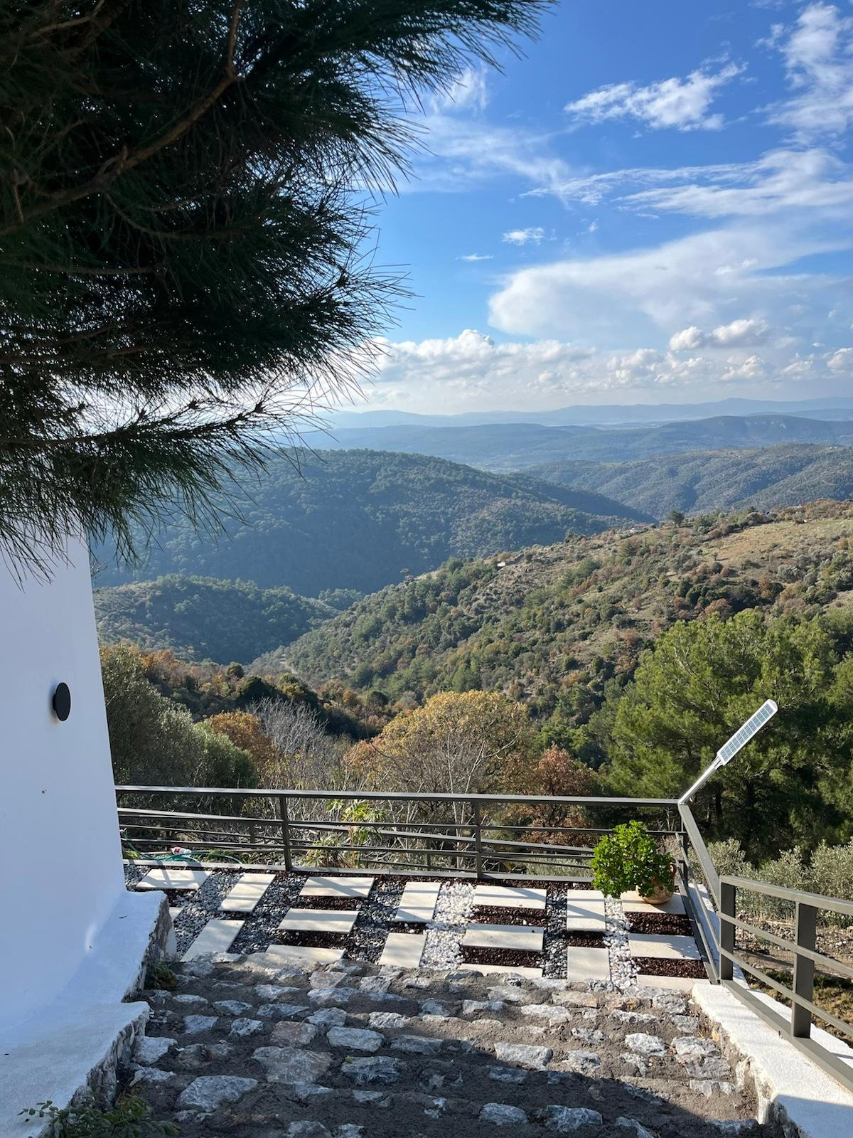 Saye Payamlı