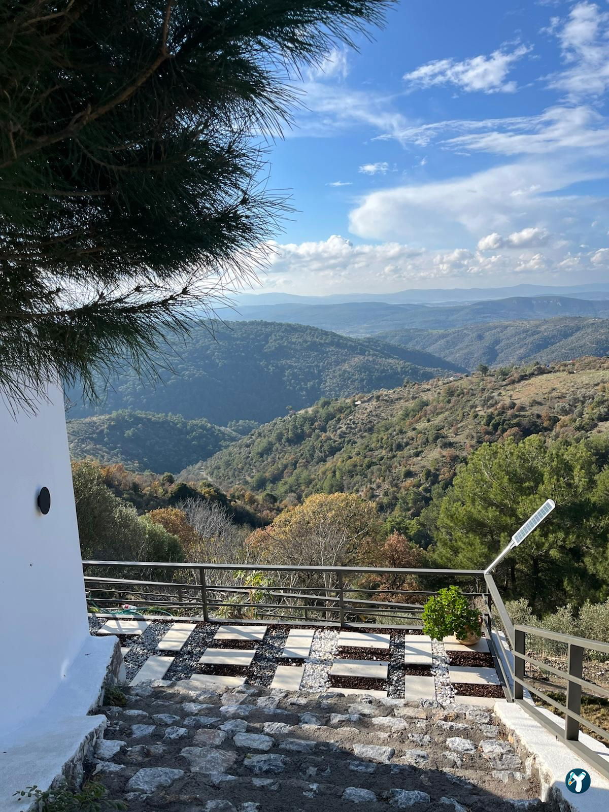 Saye Payamlı